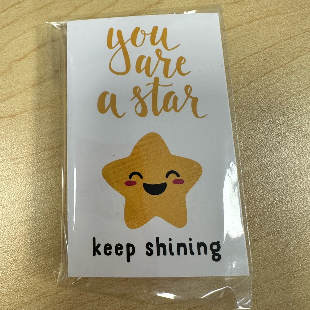NEW Star Keychain with Cute Insert